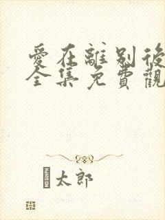 爱在离别后短剧全集免费观看高清