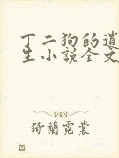 丁二狗的逍遥人生小说全文无删减