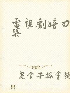 电视剧暗刃40集