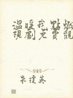 温暖我点燃你电视剧免费观看