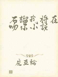 石榴我将在今夜吻你小说