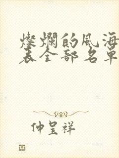 灿烂的风海演员表全部名单封面