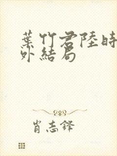 叶竹君陆时琛番外结局封面