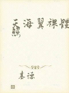 天海翼裸体艺术照