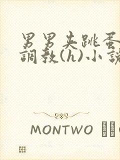 男男夹跳蛋上课调教(h)小说