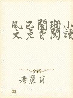 风已阑珊小说全文免费阅读最新章节