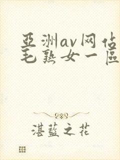 亚洲av网站浓毛熟女一区