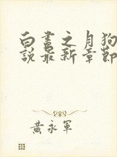 白昼之月狗子小说最新章节免费阅读