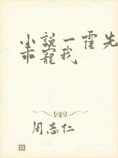 小说一霍先生乖乖宠我