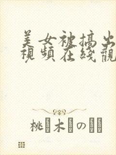 美女被搞出白浆视频在线观看封面