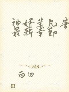 神婿叶凡唐若雪最新章节封面