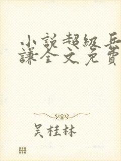小说超级兵王叶谦全文免费阅读封面