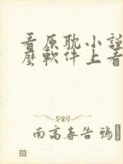 看原耽小说在什么软件上看