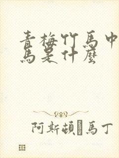 青梅竹马中的竹马是什么