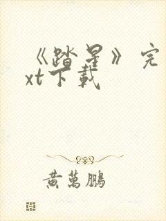 《踏星》完本txt下载