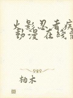 火影忍者疾风传 动漫 在线观看