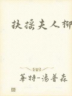 扶摇夫人柳真真封面