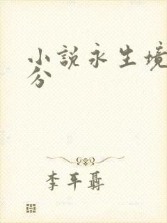 小说永生境界划分