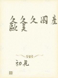 久久久国产精品欧美