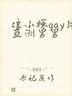 浪小辉gay片亚洲男男
