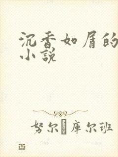 沉香如屑的原著小说