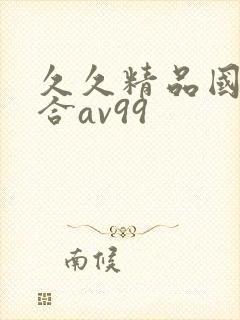 久久精品国产综合av99