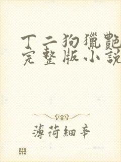 丁二狗猎艳人生完整版小说