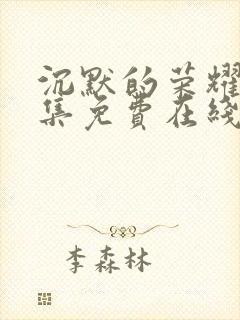 沉默的荣耀40集免费在线观看