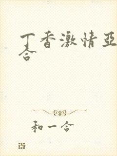 丁香激情亚洲综合