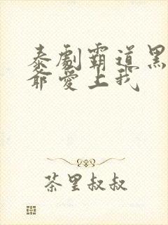 泰剧霸道黑帮少爷爱上我