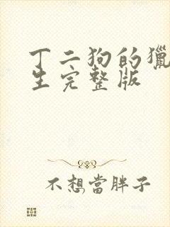 丁二狗的猎艳人生完整版封面