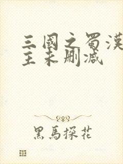 三国之蜀汉我做主未删减