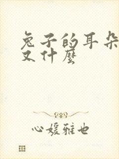 兔子的耳朵又长又什么