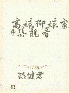 高嫁柳嫁家1到4集观看