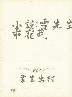 小说:霍先生乖乖宠我