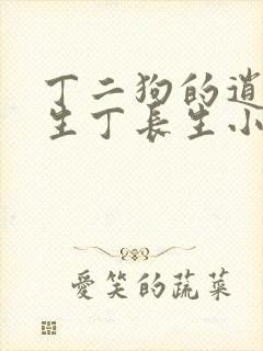 丁二狗的逍遥人生丁长生小说