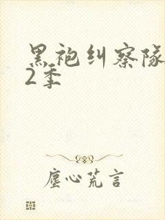 黑袍纠察队 第2季