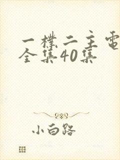 一朴二主电视剧全集40集