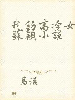 我的高冷女总裁苏颖小说