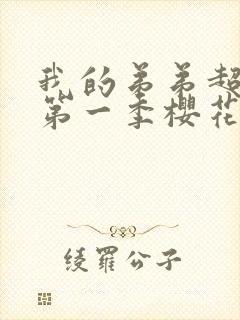 我的弟弟超厉害第一季樱花动漫