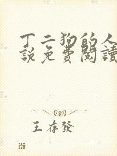 丁二狗的人生小说免费阅读全文