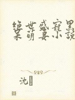 绝世盛宠黑帝的呆萌妻小说