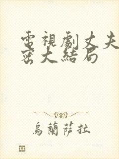 电视剧丈夫的秘密大结局