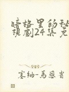 暗格里的秘密电视剧24集免费观看封面