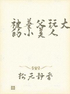 被养父玩大肚子的小美人