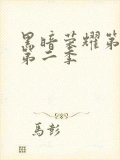 黑暗荣耀第一季第二季