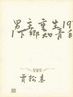 男主重生1971下乡知青的小说