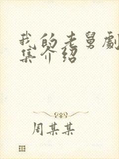 我的老舅剧情分集介绍