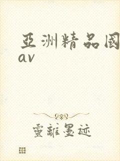 亚洲精品国产 av