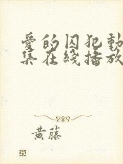 爱的囚犯动漫全集在线播放免费观看